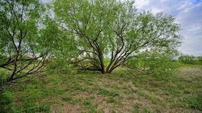 TBD CR 4371 - Photo 27