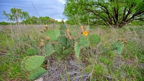 TBD CR 4371 - Photo 28