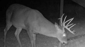 TBD CR 4371 - Photo 31