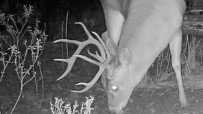 TBD CR 4371 - Photo 32