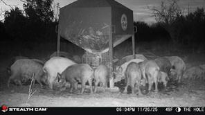 TBD CR 4371 - Photo 34