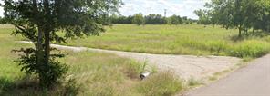 895 County Road 1006 - Photo 2