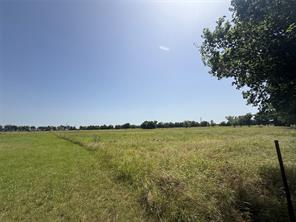 895 County Road 1006 - Photo 4