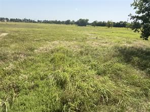 895 County Road 1006 - Photo 6