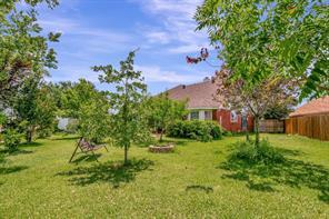 2977 Timber Creek Trail - Photo 25