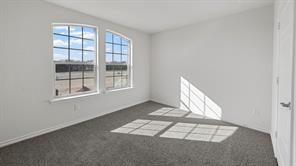 2033 Hearn Drive - Photo 27