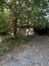 610 S Magnolia Avenue - Photo 3