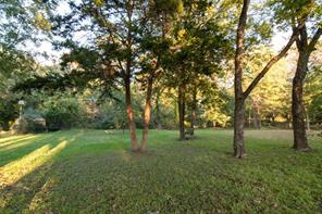 1633 Mockingbird Lane - Photo 14