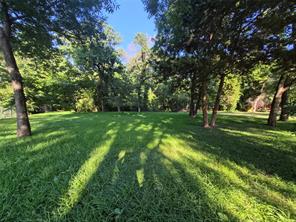 1633 Mockingbird Lane - Photo 3