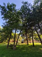 1633 Mockingbird Lane - Photo 8