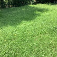 1506 S Travis Street - Photo 4