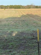 TBD Freeman Road - Photo 3