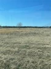TBD Freeman Road - Photo 4