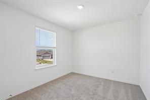 2334 Buffalo Bayou Way - Photo 21