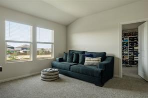 2705 Lopice Lane - Photo 17