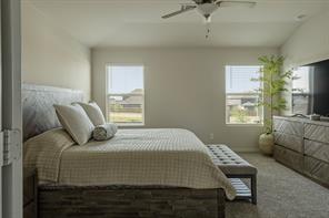 2705 Lopice Lane - Photo 18