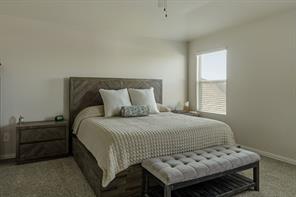 2705 Lopice Lane - Photo 19