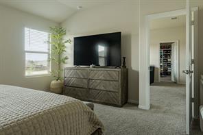 2705 Lopice Lane - Photo 20