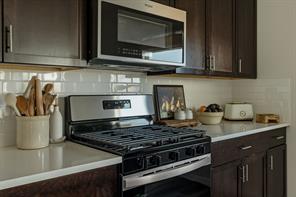 2705 Lopice Lane - Photo 9