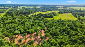 610 County Road 2040 - Photo 15