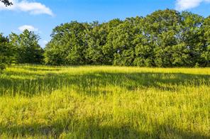 610 County Road 2040 - Photo 2