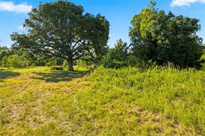 610 County Road 2040 - Photo 3