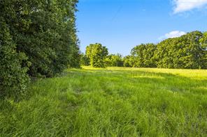 610 County Road 2040 - Photo 33