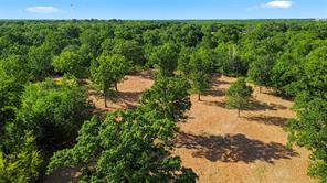 610 County Road 2040 - Photo 7