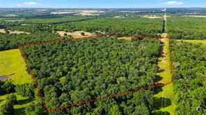 610 County Road 2040 - Photo 8