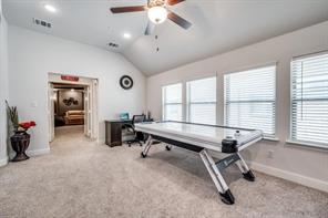 7679 Gypsy Shire Lane - Photo 11