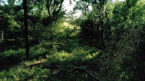 TBD Cr 120 - Photo 4