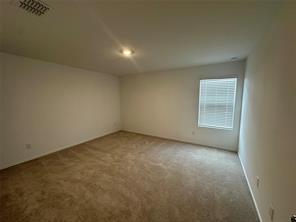 937 Mountain Laurel - Photo 15