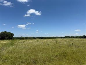01 CR 3550 - Photo 2