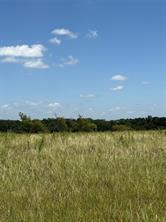 01 CR 3550 - Photo 6