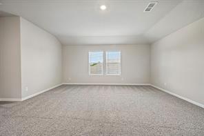 209 Rocky Road - Photo 23