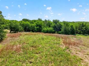 5211 County Road 547 - Photo 6