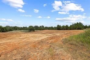 1445 Cedar Mills Road - Photo 16