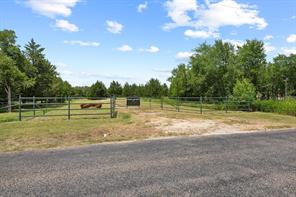 1445 Cedar Mills Road - Photo 2