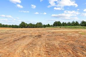1445 Cedar Mills Road - Photo 20