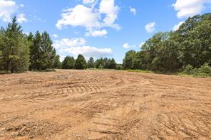 1445 Cedar Mills Road - Photo 21