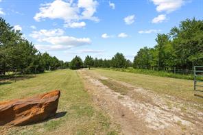 1445 Cedar Mills Road - Photo 3