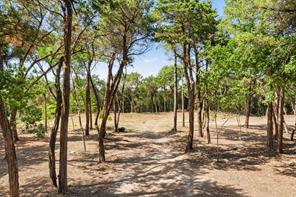 600 W Fm 1382 - Photo 23