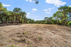 600 W Fm 1382 - Photo 5