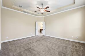 2721 Driftwood Creek Trail - Photo 22
