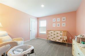102 Sunberry Drive - Photo 24