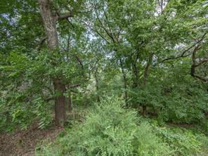 4008 Falcon Ridge Drive - Photo 40