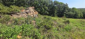 TBD Nash RD - Photo 1