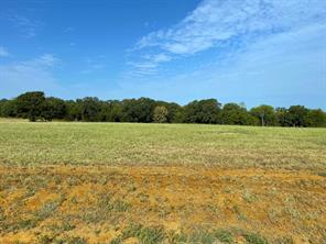Lot 17C Windrose Loop - Photo 2