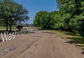 TBD Lot 4 Washington Street - Photo 6