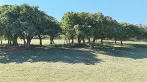 TBD County Road 323 - Photo 2